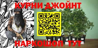 спайс Новодвинск