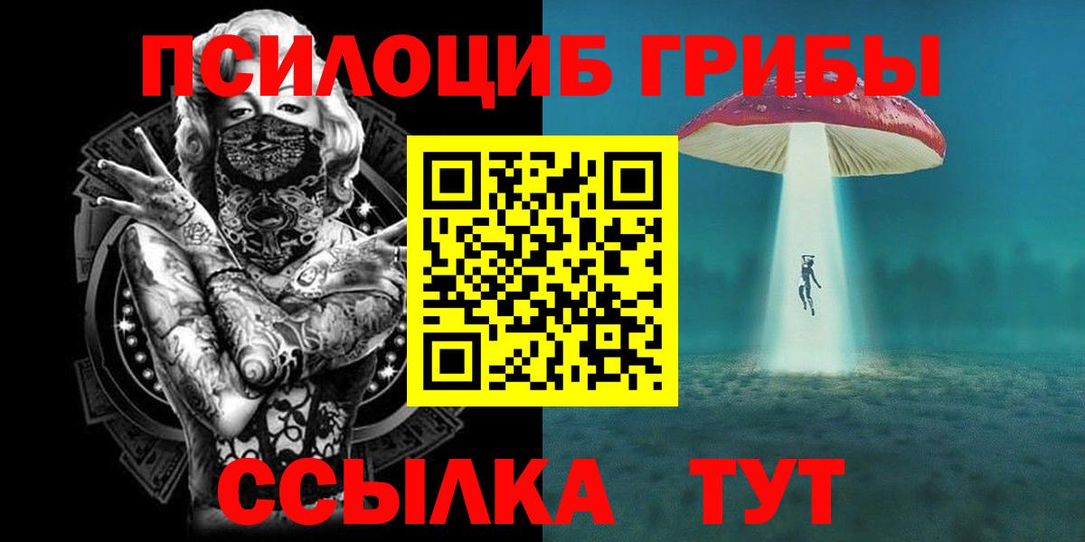 Свободный  Галлюциногенные грибы GOLDEN TEACHER  Вход с VPN 