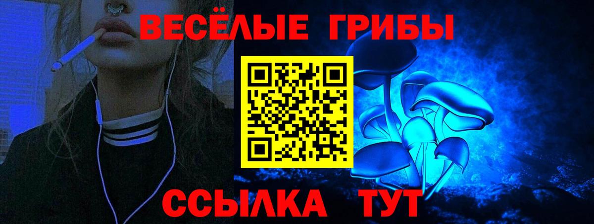 Псилоцибиновые грибы MAGIC MUSHROOMS Свободный